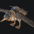 Large Bird With Saddle And Leather Equipment On Back Spreading Wings 3d model
