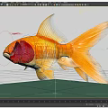 Goldfish Fish Realistic Fish 3d model