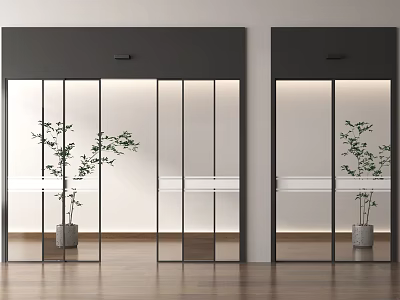 Modern Sliding Glass Door Interior with Black Frame Green Plant Wooden Floor And Light Wall 3d model