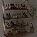 Shoes Displayed on Wooden Shelves with High Heels Flats Sandals Various Styles and Potted Plant