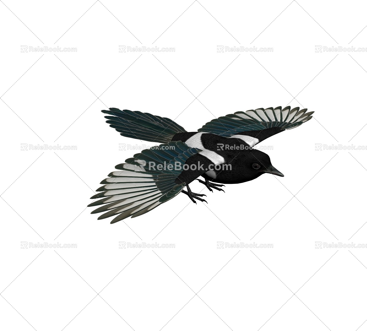 Next generation magpie flying bird flying bird gray magpie mountain magpie blue magpie sparrow bird kingfisher animation flying animation 20163679 3d model