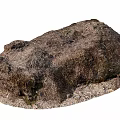 Natural Moss Covered Stone and Rustic Wood with Gravel Base in Outdoor Scene