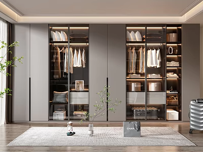 Sleek Modern Wardrobe With Glass Doors Hanging Clothes Storage Boxes And Shoes 3d model