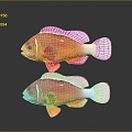 Fish Freshwater Fish Clown Fish Sea Fish Animal Game Animal Cartoon Animal Animal 3d model