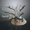 Natural Tree Stump With Twisted Thick Branches On Green Mossy Ground 3d model