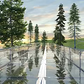 Transparent Glass Bridge With Tall Trees Green Grass And Sunset Sky Reflections