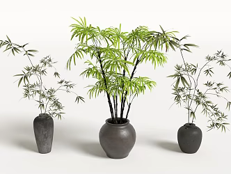 Bamboo pottery jar green plant bonsai 3d model