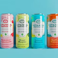 Botanical Brewing Co Colorful Canned Drinks Featuring Summer Spritz Maui Mojo Island Breeze SoFlo Sunrise