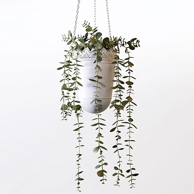 Green Arbor in White Hanging Planter with Cascading Branches and Lace Accents 3d model