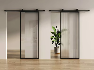 Modern Interior Sliding Glass Barn Door With Black Frame And Green Plant On Wooden Floor 3d model