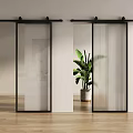 Modern Interior Sliding Glass Barn Door With Black Frame And Green Plant On Wooden Floor