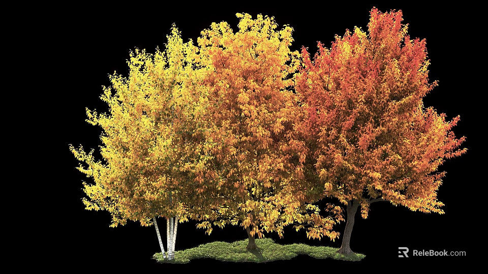 Vibrant Autumn Trees With Yellow Orange Red Foliage Isolated On Black 3d model 