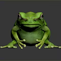 Shiny Green Frog With Glossy Skin On Black Background And Reflection 3d model