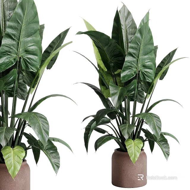 Garden Decor Featuring Lush Green Plants With Large Leaves In Ceramic Pots For Home Garden 3d model 