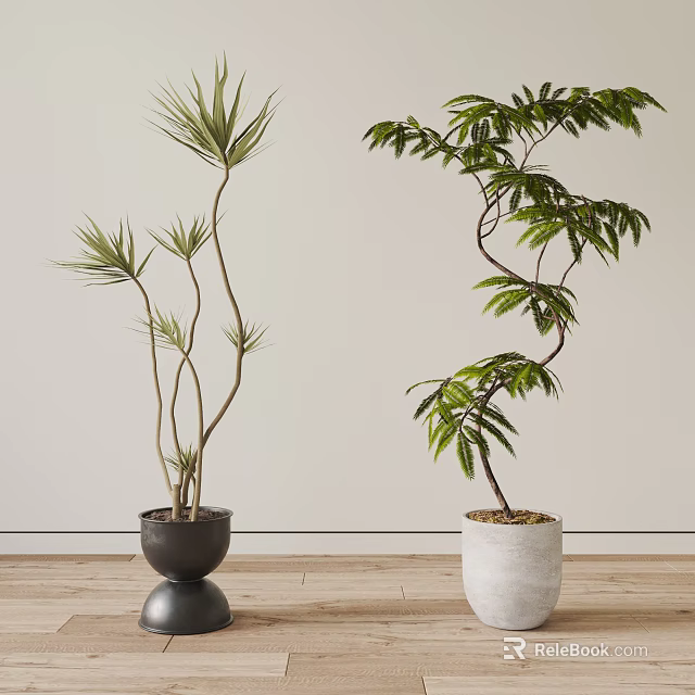 Potted Plants With Slender And Broad Leaves In Black Metallic And White Ceramic Pots 3d model 