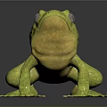 Realistic Green Frog With Large Eyes Smooth Skin On Black Reflective Surface