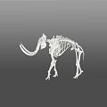 Modern Skeleton 3d model