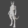 Anthropomorphic Wolf Like Game And Movie Character With Muscular Build And Gray White Fur
