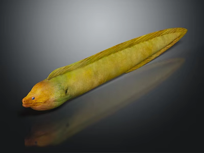 Green and Yellow Eel with Slender Body and Orange Head on Dark Surface Reflection 3d model