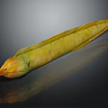 Green and Yellow Eel with Slender Body and Orange Head on Dark Surface Reflection 3d model