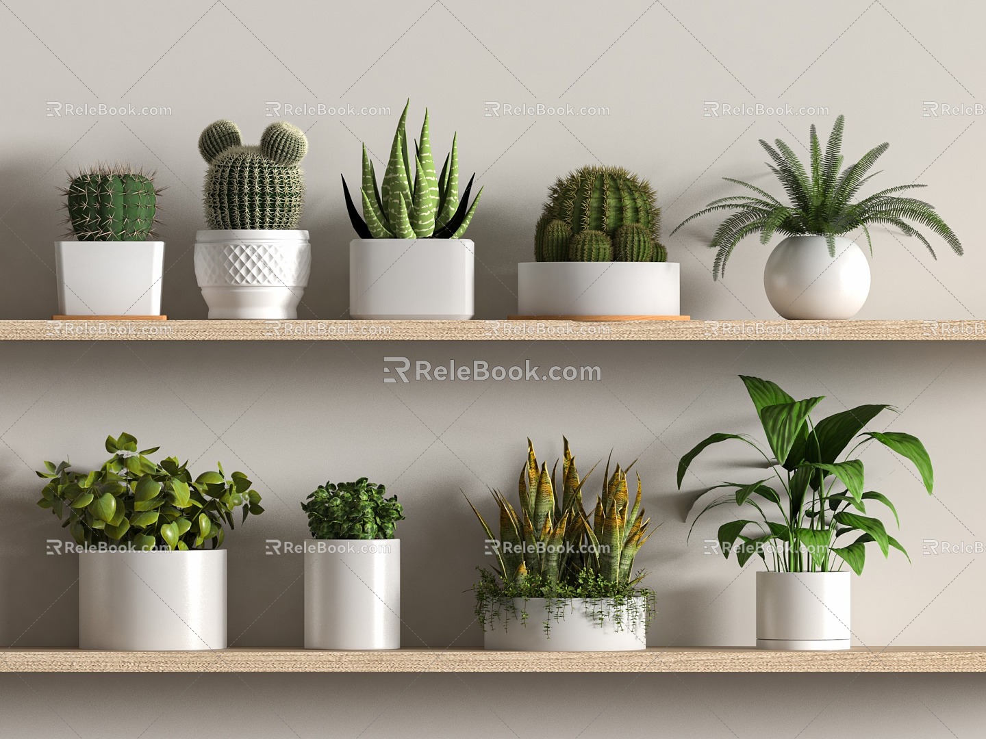 succulent plant potted plant green plant potted plant 3d model