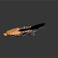 Purple Winged Cicada With Spread Wings White Spots And Orange Body Against Dark Background
