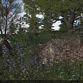 Colorful Flowers And Green Plants In Lush Natural Garden With Rocks Trees And Blue Sky
