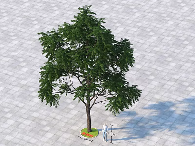 Lush Green Arbor With Brown Trunk On Gray Tiled Ground And Person Measuring 3d model