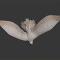 White Eagle Flying With Spread Wings And Yellow Talons Against Gray Background 3d model