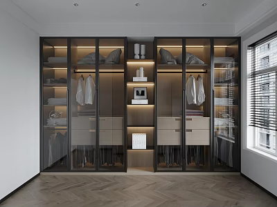 Modern Wardrobe Interior Design With Glass Doors Hanging Clothes Shelves And Drawers 3d model