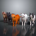Orange White Black Gray and Brown Cats Standing on Dark Reflective Surface 3d model