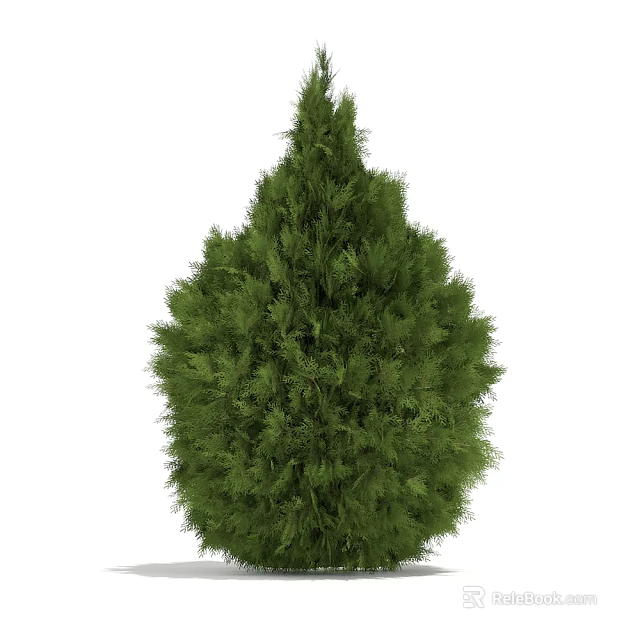 Lush Green Arbor With Conical Shape And Dense Evergreen Foliage 3d model 