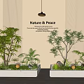 Nature Peace Garden Landscape With Various Plants Vertical Striped Wall And White Planters