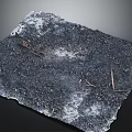 Burnt Ground Surface With Black Ash Dry Twigs And White Spots 3d model