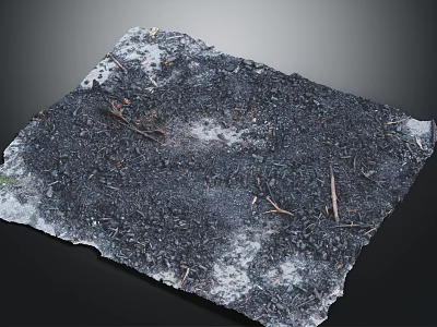 Burnt Ground Surface With Black Ash Dry Twigs And White Spots 3d model