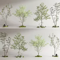 Various Arbor Trees With Green Foliage And Decorative Stones On Grass Base 3d model