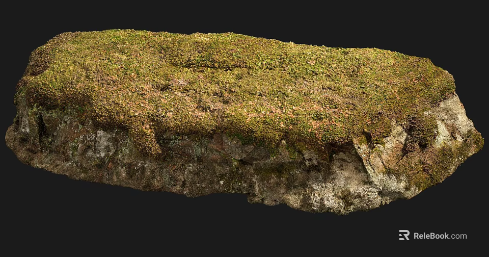 Natural Stone and Wood Surface Covered with Lush Green Moss Texture 3d model 