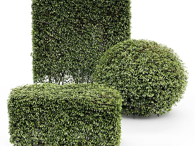 Green Shrub Decorative Ornament Set with Square Round and Cube Shapes for Home Decor 3d model