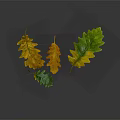 Colorful Oak Leaves Floating On Gray Background With Yellow Orange And Green Tones And Reflection