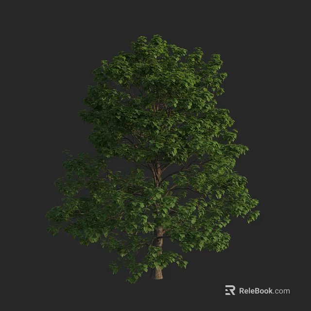 Tall Deciduous Arbor with Lush Green Foliage and Strong Trunk in Natural Landscape 3d model 