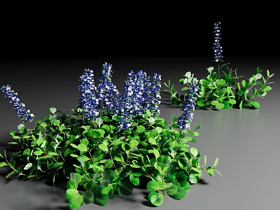 Lush Green Ground Cover With Vibrant Blue Flowers In Garden Landscape 3d model