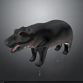 Hippo With Open Mouth Gray And Pink Skin Smooth Texture On Dark Background