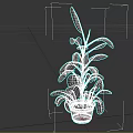Indoor Green Plant with Long Lush Leaves in Brown Ceramic Pot