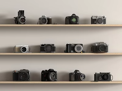 Various Digital Cameras with Different Models Displayed on Wooden Shelves Collection 3d model
