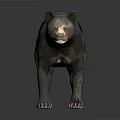 3D Bear Model Featuring Gray Brown Spotted Fur Standing Pose on Dark Background 3d model
