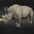 Detailed Realistic 3D Rhinoceros Model With Horns Standing On Black Background