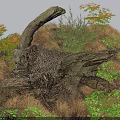 Natural Wood Tree Stump With Stone Features And Green Vegetation Around