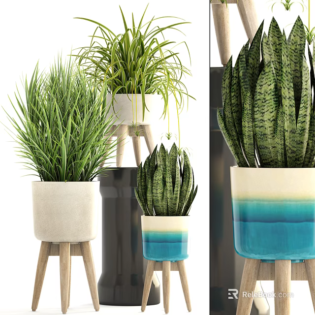 Various Bonsai Potted Plants with Cream Blue Gradient Ceramic Pots on Wooden Stands 3d model 