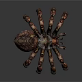 Spider Like Game Movie Character With Red Brown Armored Body And Multiple Sharp Legs