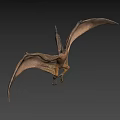 Detailed Pterosaur Model With Open Mouth Extended Wings And Realistic Texture